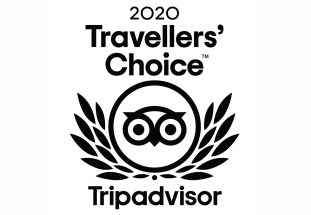 2020-Travellers-Choice-logo-1